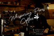 Rhetorical Flourish Font, a Handwritten Font by Letterhanna Studio (Thumbnail 5 of 9)