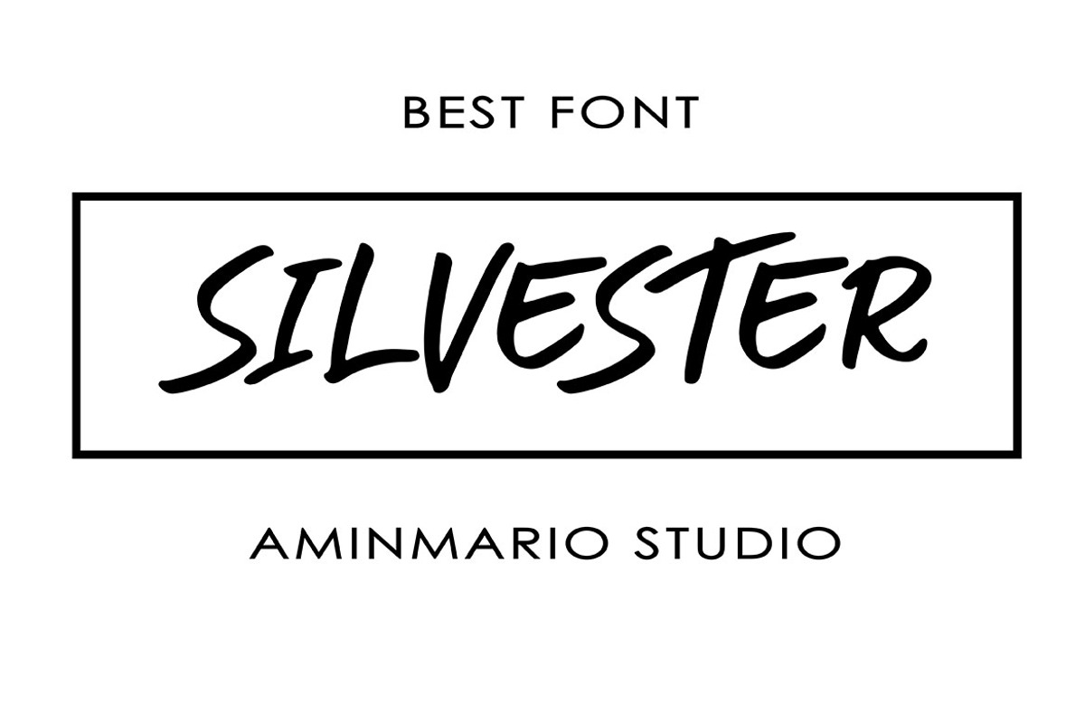 Silvester preview 8