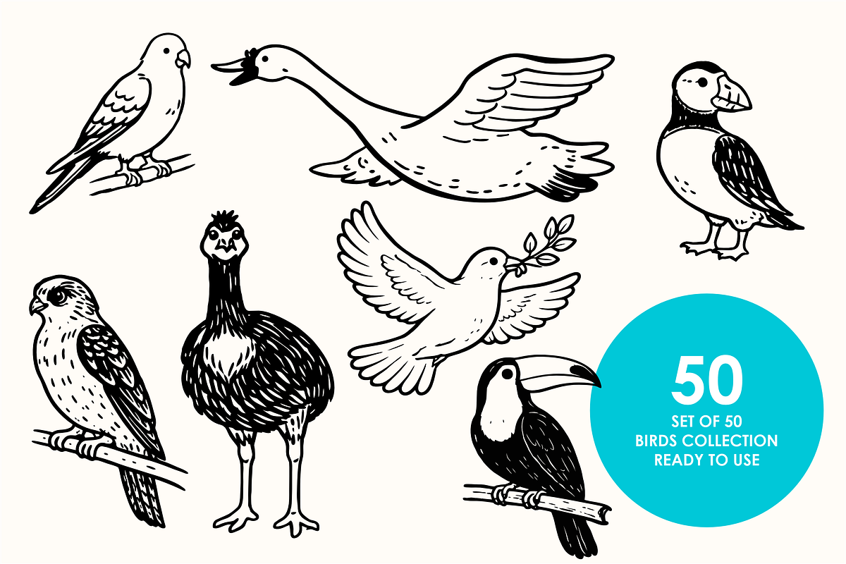 (Avian) Birds Vector Illustrations, an Animal Illustration by Rasgood (Photo 6 of 8)