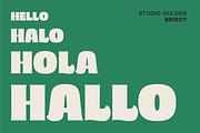 SG - BRISCY Display Font, a Font by Studio Gulden (Thumbnail 5 of 12)