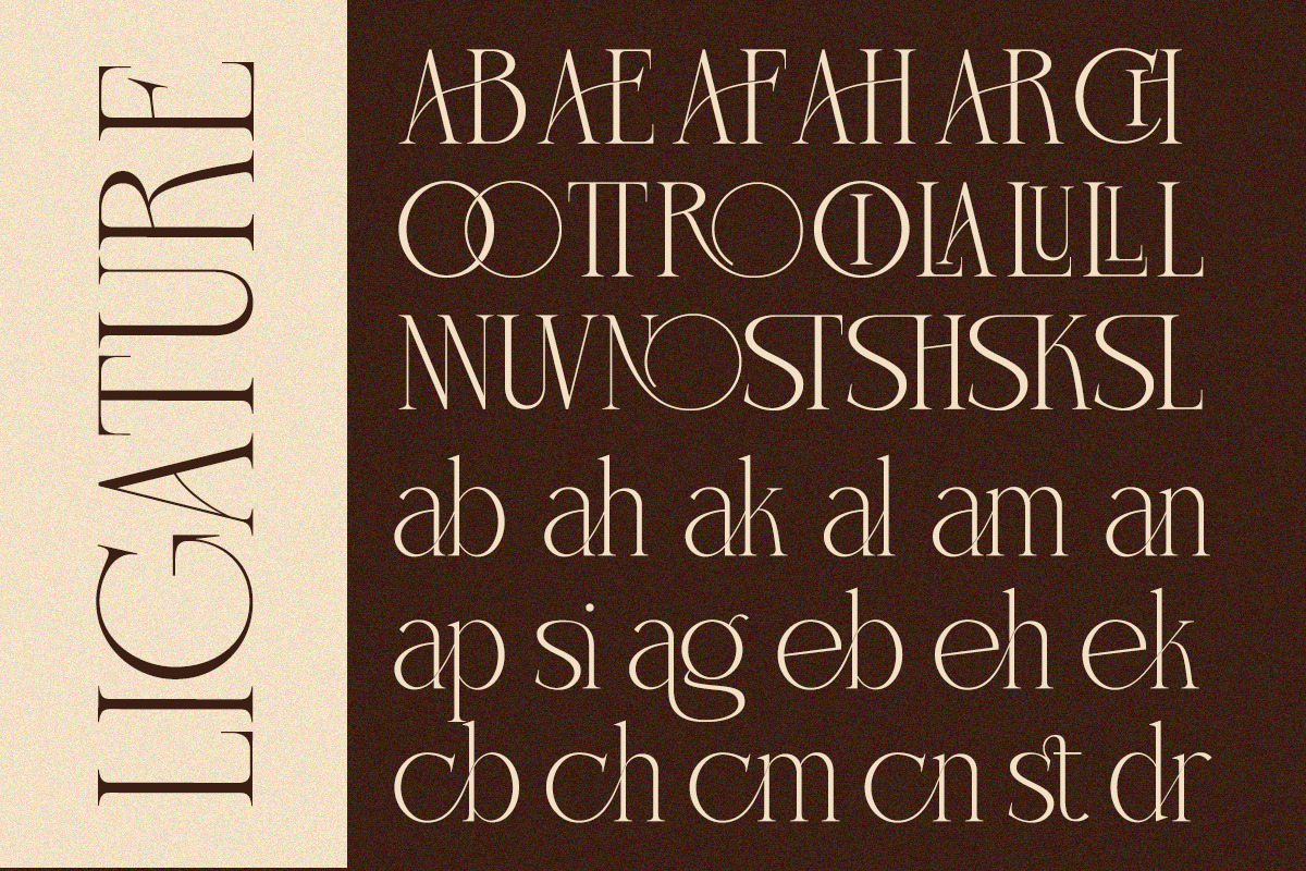 Charnoir - Modern Elegant Luxury, a Serif Font by Qweera Studio (Photo 8 of 12)