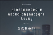 Gussion - Modern Elegant Sans Serif, a Sans Serif Font by Flawless And Co (Thumbnail 10 of 10)