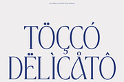 CS Agnella – Elegant Serif Font, a Serif Font by Craft Supply Co. (Thumbnail 5 of 8)