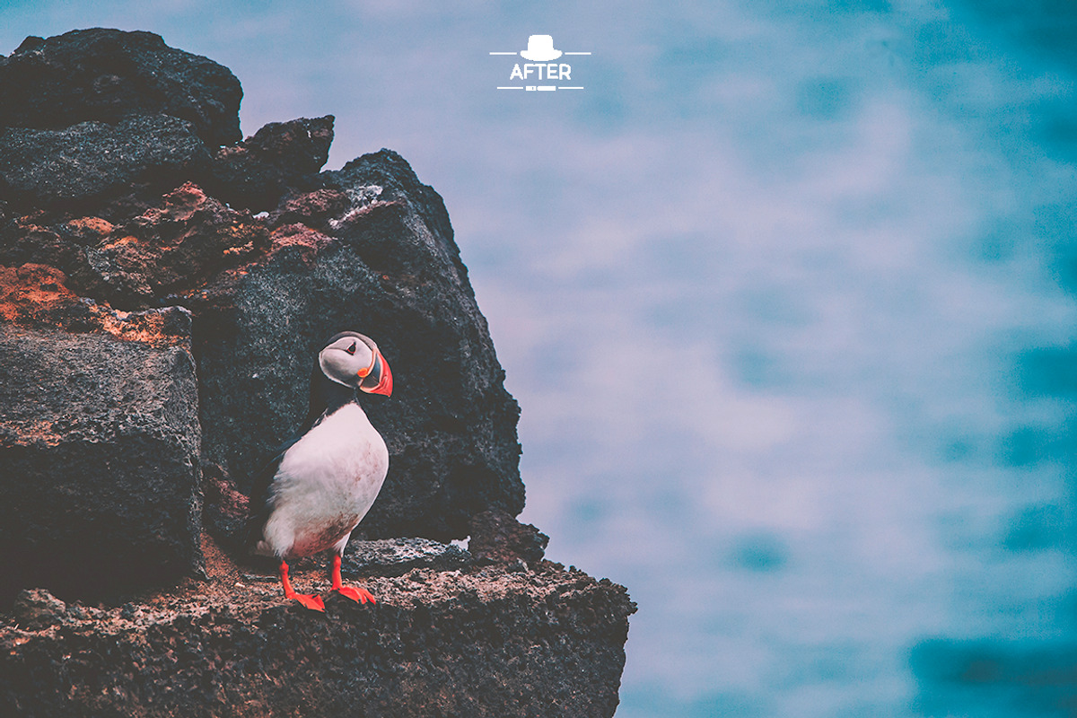 Travel Lightroom Presets, an Action Add-On by Lavinsky Art Store (Photo 12 of 15)