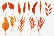 Watercolor Autumn Leaves Bundle, an Illustration by Helga Wigandt (Thumbnail 13 of 18)