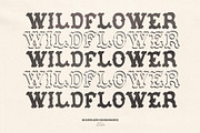 WestFolk | Hand Crafted Font, a Handwritten Font by Madeline ODonoghue Design (Thumbnail 2 of 10)