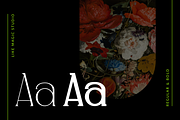 Artemis - An Elegant Serif, a Serif Font by Like Magic Studio (Thumbnail 3 of 11)