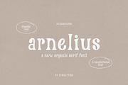Arnelius Serif Font, a Serif Font by etigletters (Thumbnail 2 of 9)