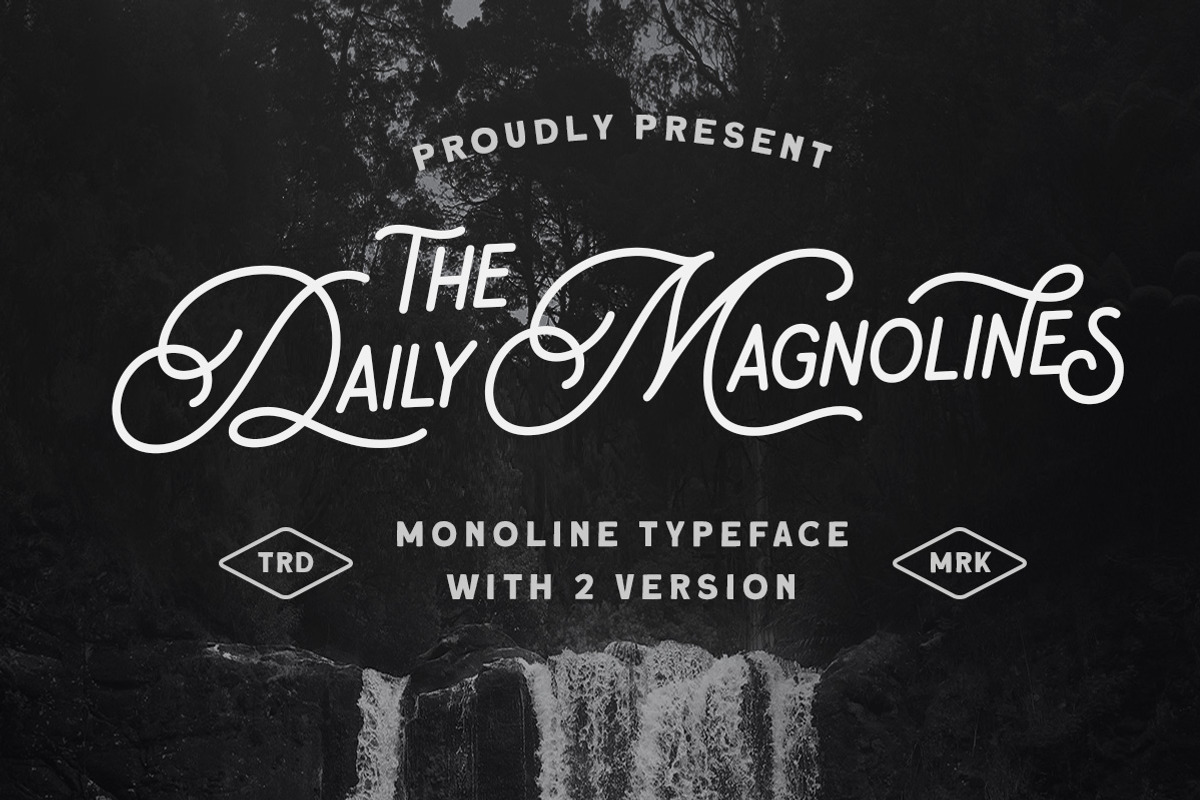 Daily Magnolines - Monoline Typeface, a Handwritten Font by Letterhend Studio (Photo 1 of 9)