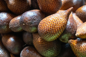Snake fruits at Bolu market in Rantepao, Toraja, Sulawesi, Indon, a Food & Drink Photo by GoodGoods