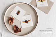 Beetles watercolor collection, an Animal Illustration by Diana Askarova Art (Thumbnail 6 of 12)