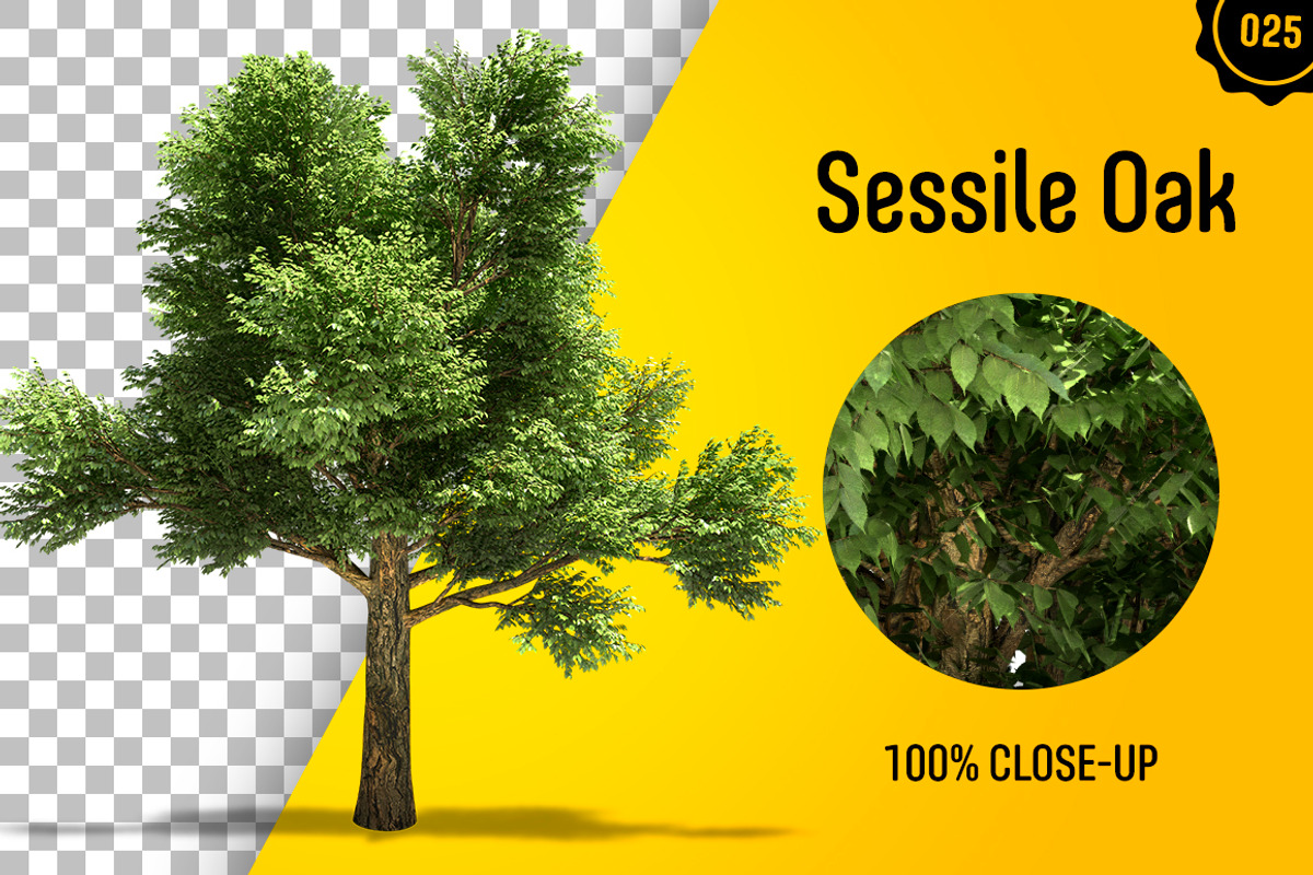 CUT OUT TREES - 60 PCS BUNDLE, a Packaging Mockup by 3DSTORE (Photo 26 of 63)