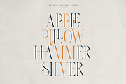 Thorn & Tale – A Refined Serif Font, a Serif Font by VP Fonts (Thumbnail 12 of 30)