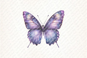 Pastel Purple Butterflies PNG, an Illustration by Watercolor design (Thumbnail 10 of 12)