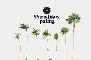 TROPICAL PALMS & Animals Patterns