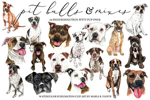 Pit Bull Puppy Dogs Clip Art Set