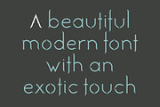 Tagine. Chic new font for designers, a Sans Serif Font by LostandFoundry (Thumbnail 4 of 7)