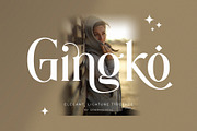 Gingko Ligature Typeface, a Serif Font by Graphicxell (Thumbnail 1 of 11)