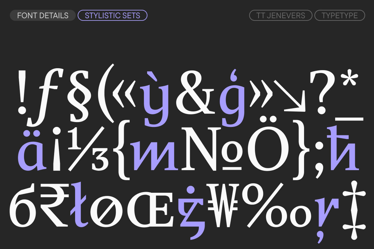 TT Jenevers, a Serif Font by TypeType (Photo 15 of 15)