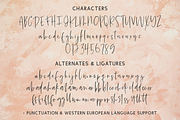 Summerback Script, a Script Font by Beck McCormick (Thumbnail 10 of 10)