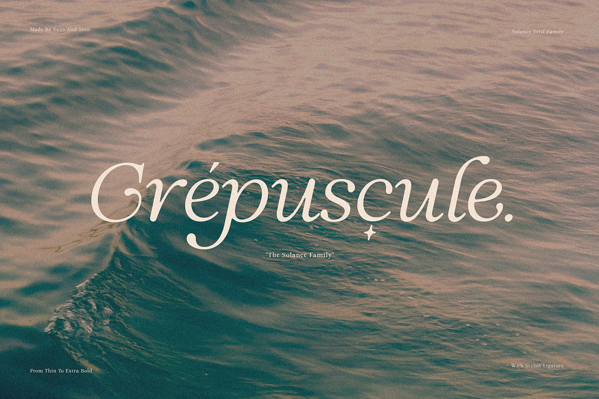 Solance Italic Family, a Serif Font by Sans & Sons (Photo 9 of 10)