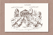 Hand drawn vineyards illustrations, an Illustration by Blue Ink Studio (Thumbnail 5 of 5)