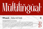 MNRagnala, a Serif Font by Mantra Naga (Thumbnail 11 of 16)