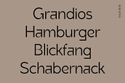 Altmark – a very unique sans, a Sans Serif Font by Local Desk Designstudio (Thumbnail 2 of 23)