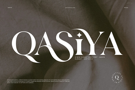 Qasiya Unique Ligature Serif Font, a Serif Font by Perfectype