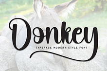 Donkey | Script Font
