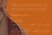 Ambition Master Stylish Signature, a Script Font by stylishtype.co (Thumbnail 19 of 20)