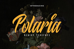 Polaria Script Typeface