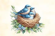 Watercolor Blue Birds Nest Clipart, an Illustration by CraftArtStudio (Thumbnail 2 of 3)