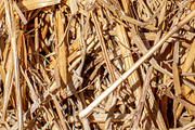 The straw lies on the ground, an Abstract Photo by Schreibikus (Thumbnail 3 of 7)