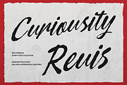 Curiousity Reuis Handwritten Script, a Script Font by gracetype_studio (Thumbnail 1 of 11)