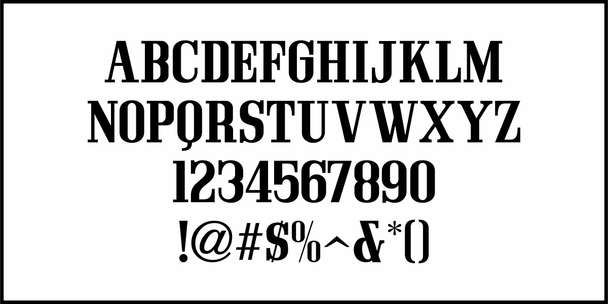 Post Production JNL, a Serif Font by Jeff Levine Fonts (Photo 3 of 5)