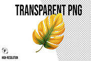 Leaves Clipart Png, an Illustration by Forhadx5 (Thumbnail 2 of 9)