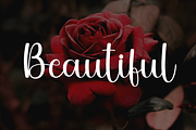 Butterfly, a Handwritten Font by FreshTypeINK (Thumbnail 6 of 8)