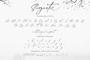 Signatie | Stylish Signature Font, a Script Font by BrandSemut (Thumbnail 13 of 13)
