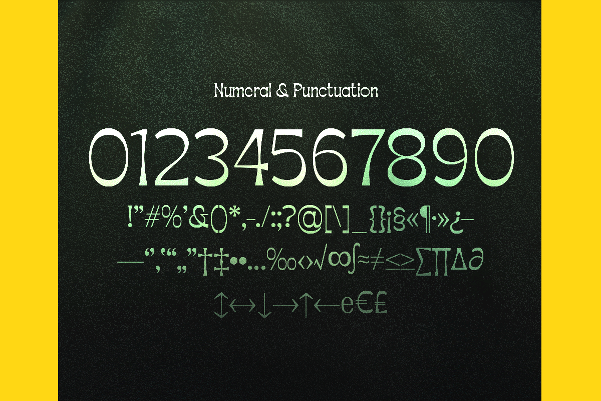 Apagah Reverse, a Serif Font by Differentialtype (Photo 8 of 10)