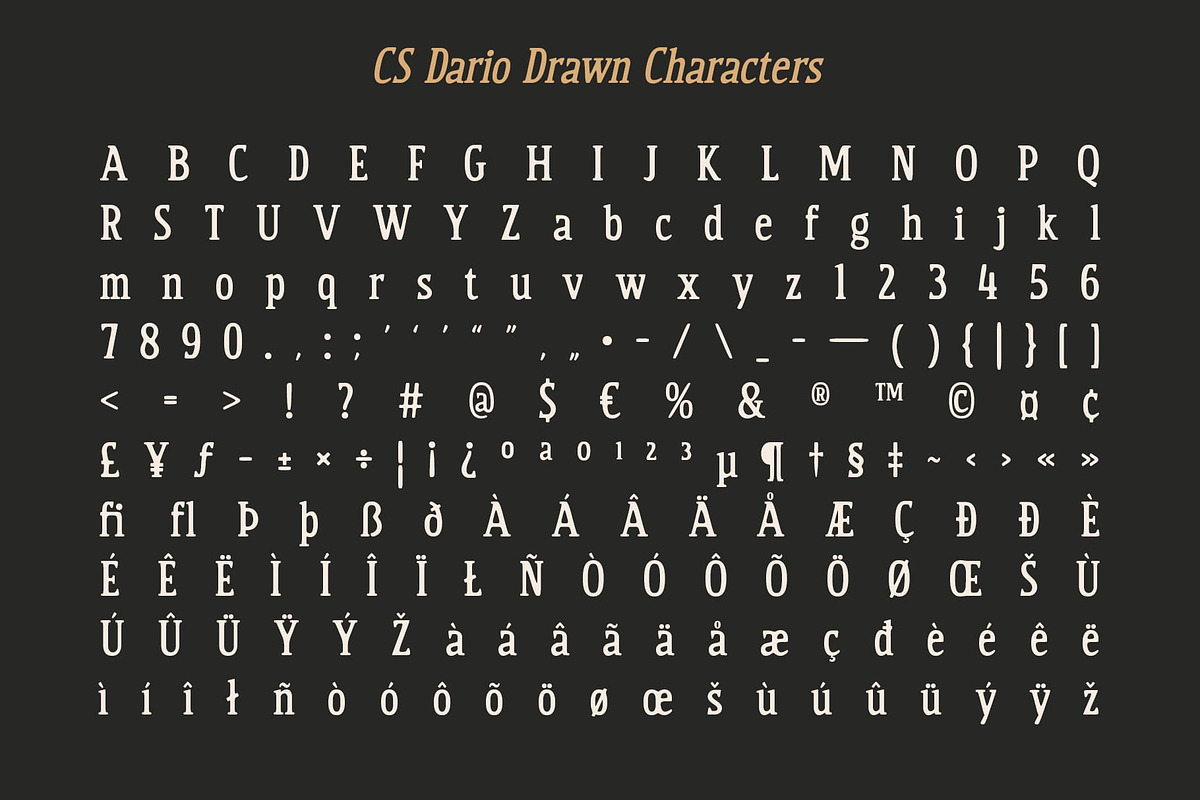 CS Dario Drawn, a Serif Font by Craft Supply Co. (Photo 8 of 8)
