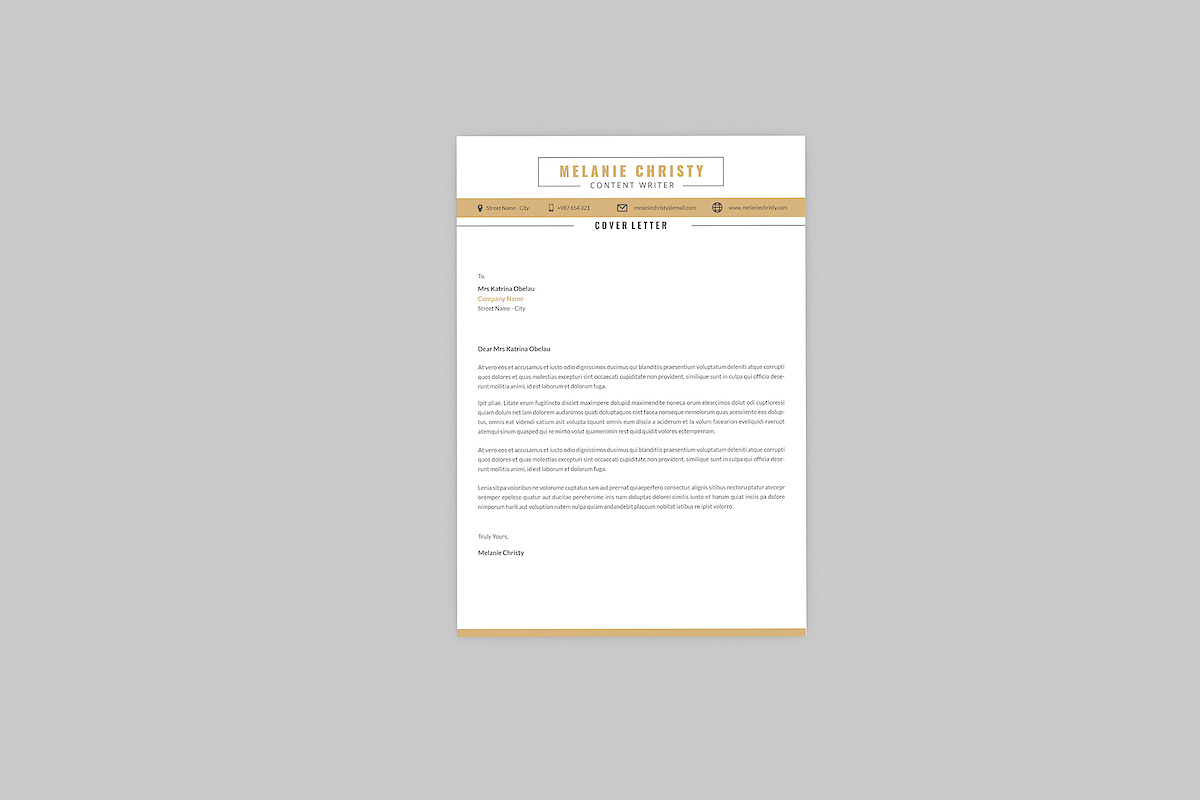 CV Colony Resume Designer, a Resume Template by AQR Studio