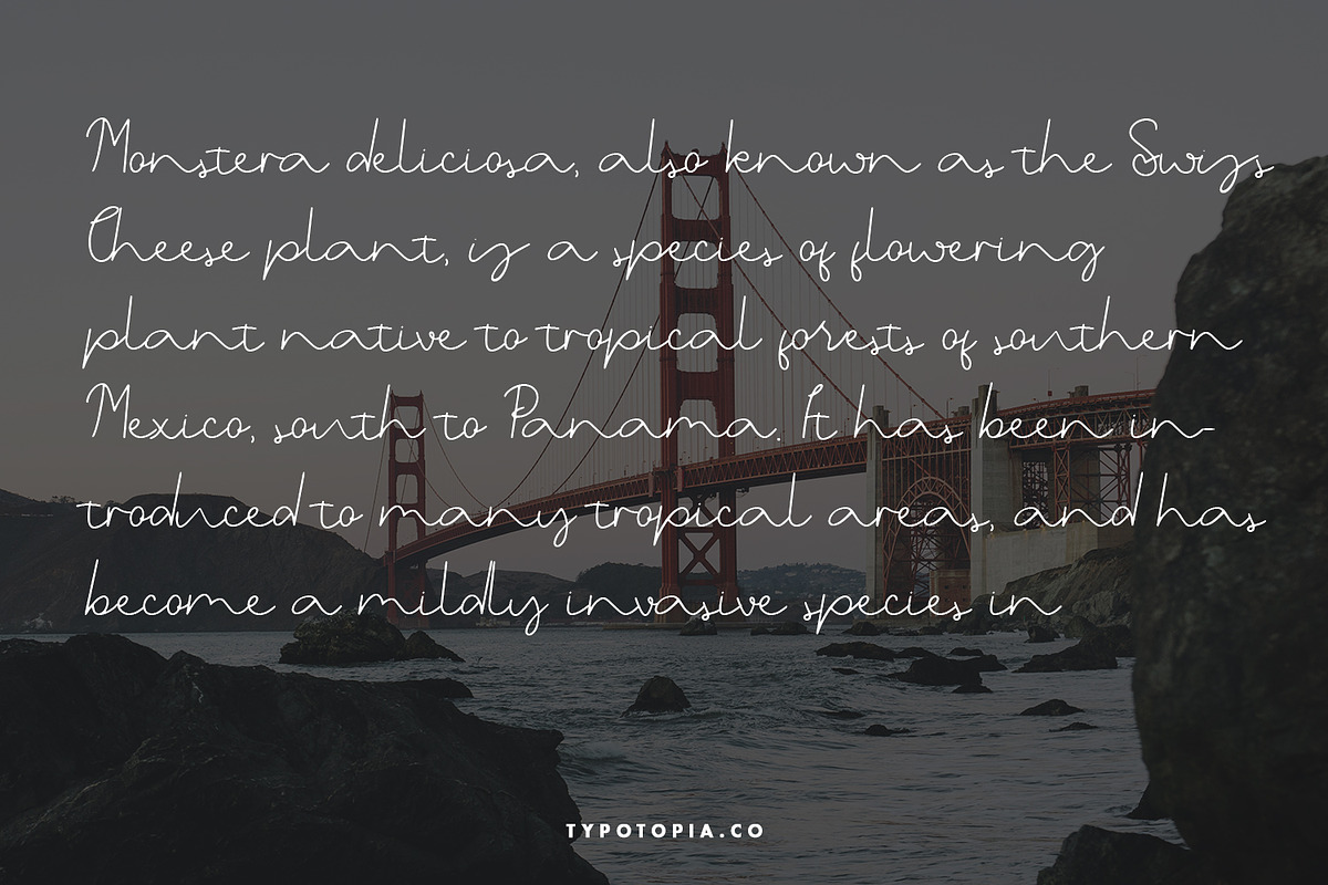 Belgia Handwritten Font preview 7