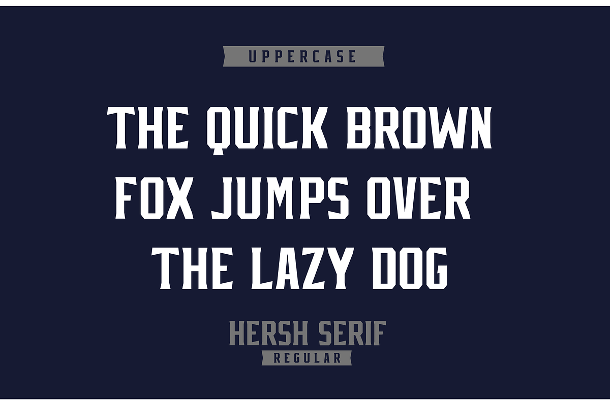 HERSH SERIF FONT FAMILY, a Serif Font by Alphabet Agency (Photo 2 of 14)