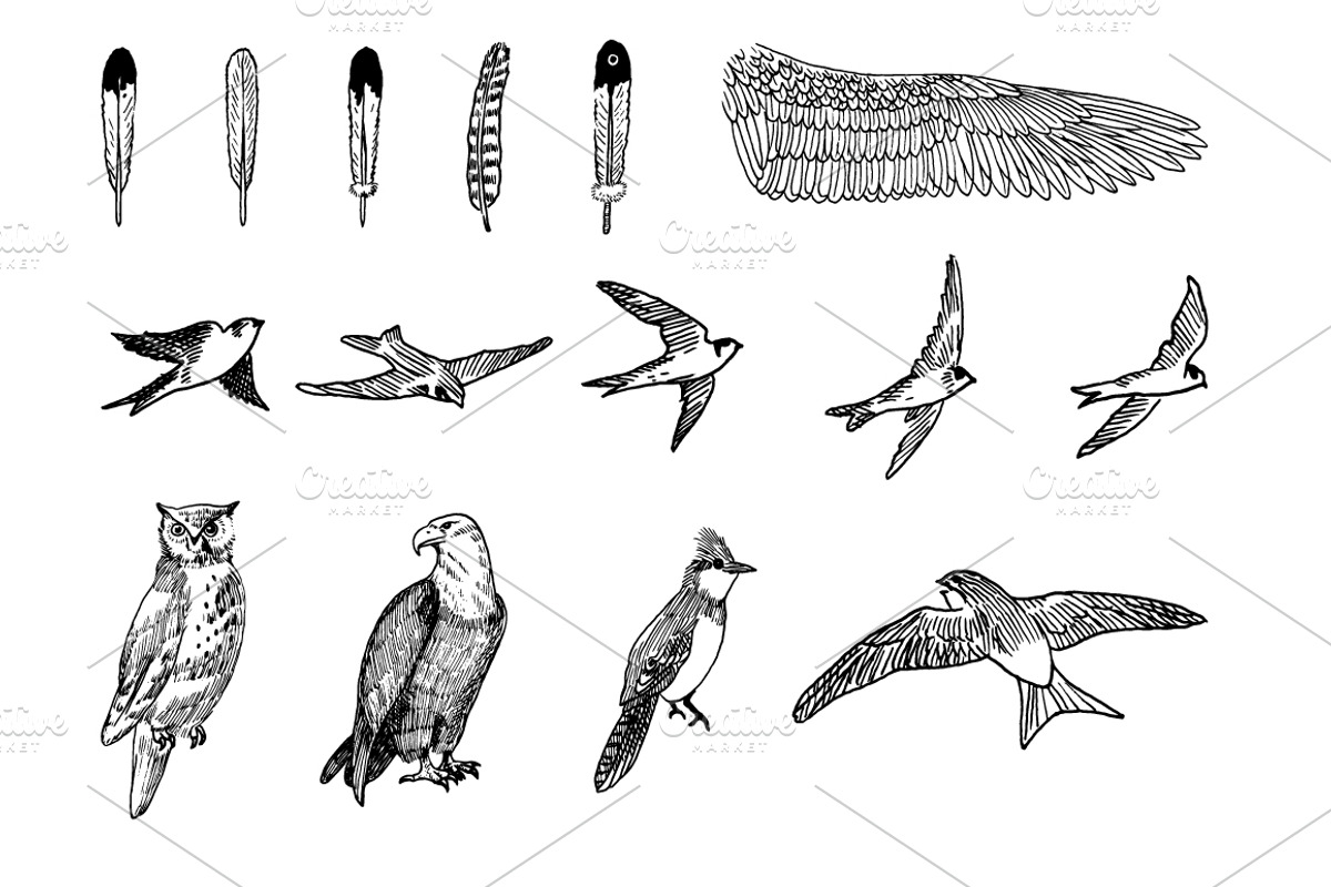 Rustic Clipart Volume 3 - AI PNG EPS, an Object Graphic by BirDIY Design (Photo 3 of 6)