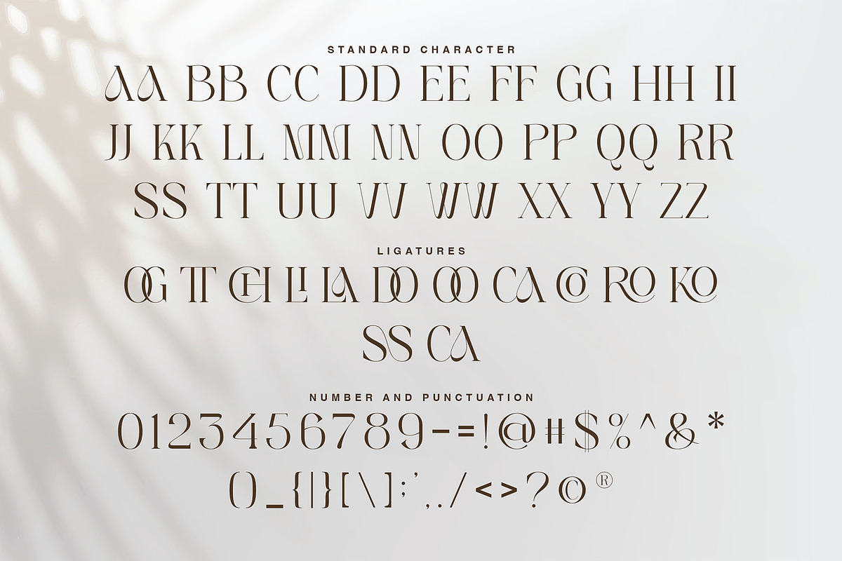 Carmela-Modern and elegant typeface, a Serif Font by ToniStudio (Photo 8 of 10)