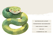 Watercolor Animal Clipart Bundle, an Animal Illustration by Design Scotch (Thumbnail 5 of 6)