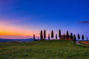 Cypress trees and meadow with typica stock photo containing tuscany and