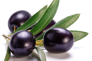 Ripe black olive berries on a twig, a Food & Drink Photo by Volff