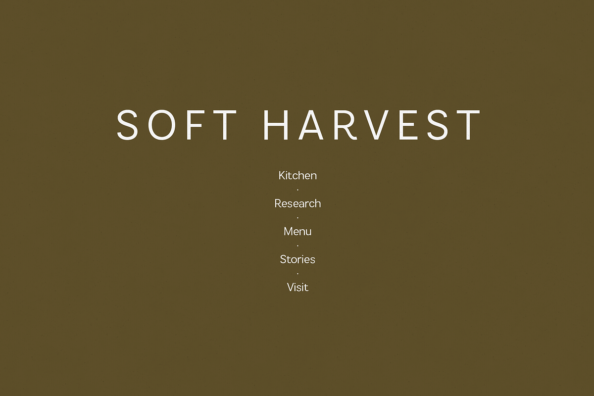 Vexa Modern Sans Serif Font, a Sans Serif Font by Only Fonts (Photo 8 of 12)